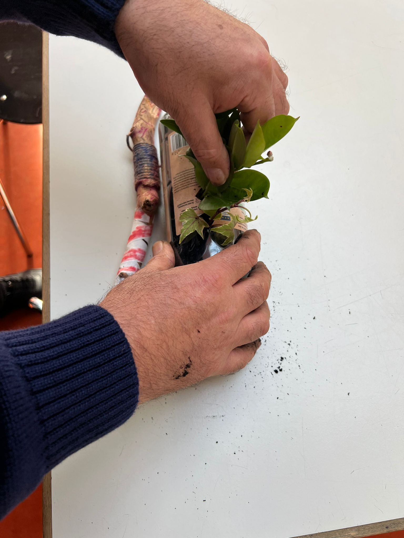 Balcony Gardening