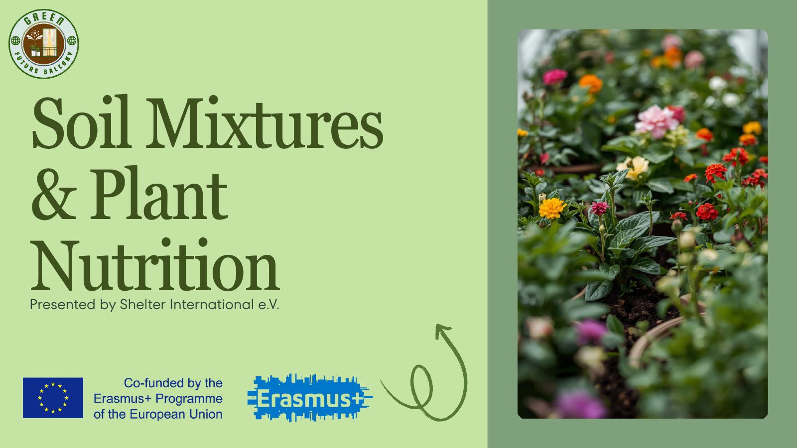 Soil Mixtures & Plant Nutrition