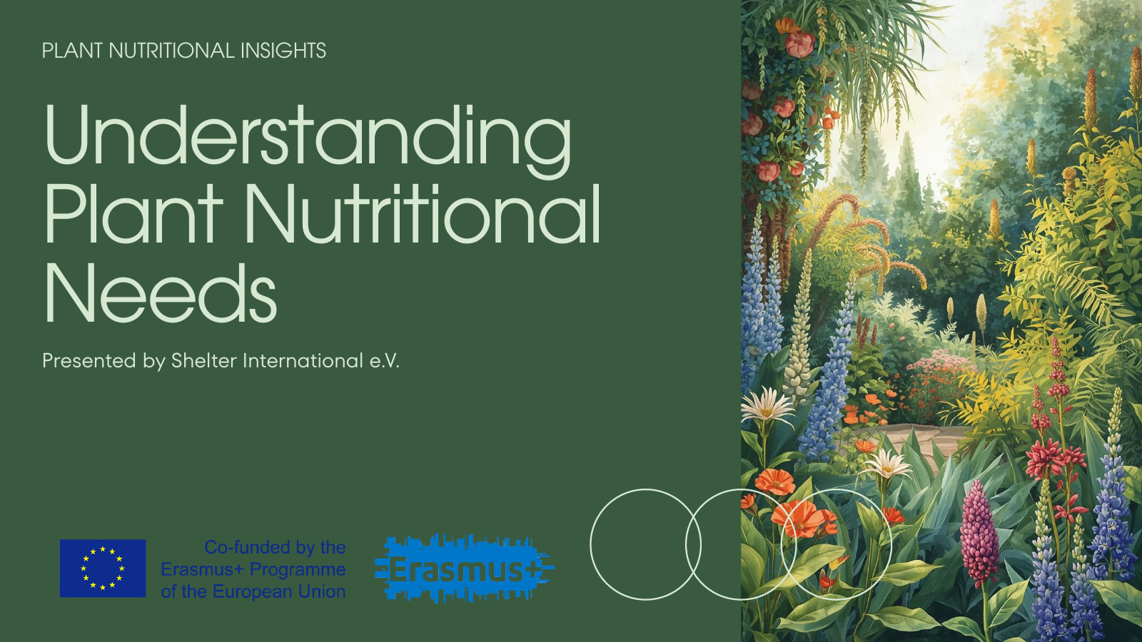 Understanding Plant Nutritional Needs